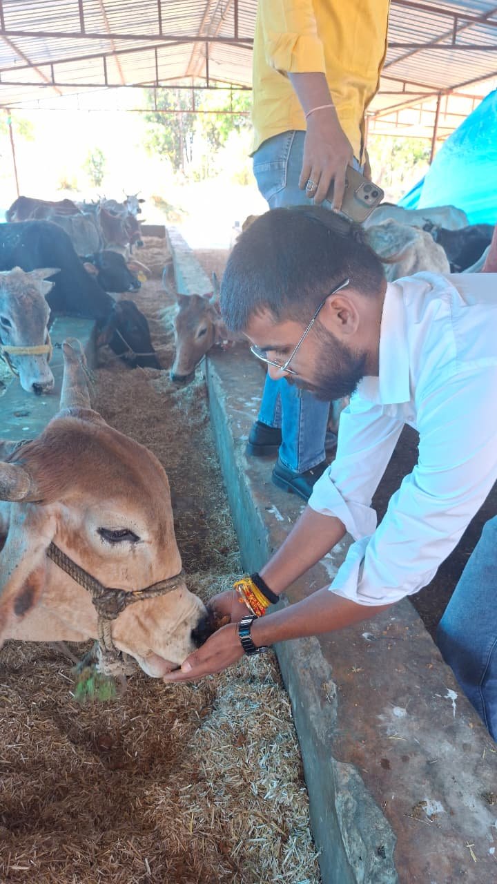 Gaushala Activity